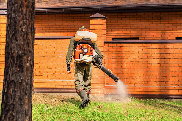 Top rated local Ant Control specialists in Waycross, GA